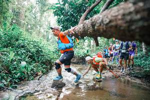 BIB: 
                            <button type="button" onclick="openModal(25373901)" class="btn btn-primary btn-sm float-right btn-popup" data-toggle="modal" data-target=".modal-high-quality">
                        <i class="fas fa-shopping-cart"></i> Add to Cart
                    </button>
                                            <button type="button" onclick="isThisMe(25373901, true)" class="btn btn-success btn-sm float-right btn-popup btn-isme hidden" data-toggle="tooltip" data-placement="bottom" title="นี่คือรูปของคุณใช่ไหม คลิกที่นี่เพื่อเอาเข้าอัลบั้ม">
                        <i class="fas fa-plus"></i> Add to album
                    </button>
                    <button type="button" onclick="isThisMe(25373901, false)" class="btn btn-warning btn-sm float-right btn-popup btn-isnotme hidden">
                        <i class="fas fa-ban"></i> Remove from album
                    </button>